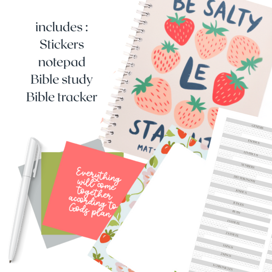 Stay Salty Bible Study Set