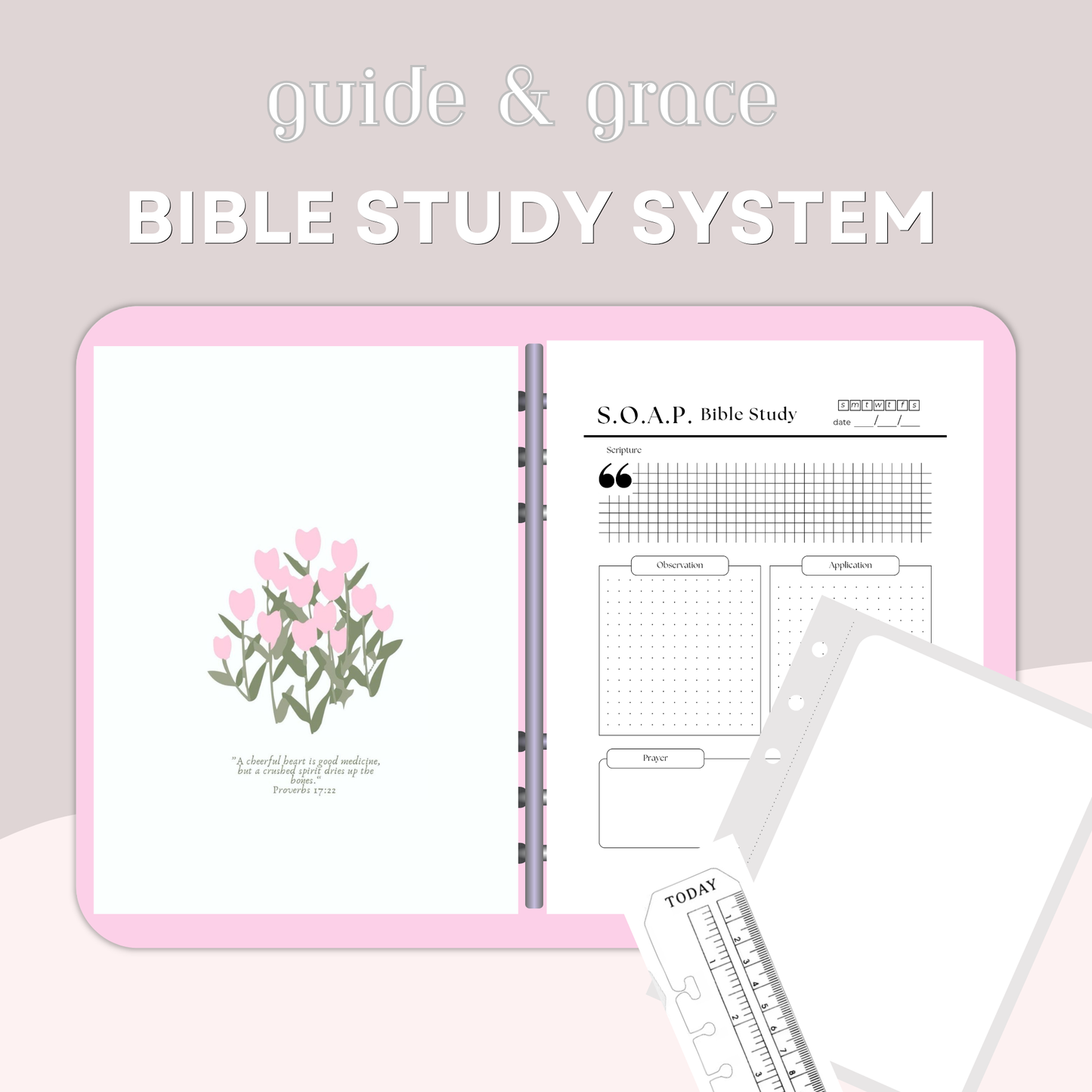 The Discover Study Set